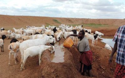 Climate change resilience and livelihoods (Kenya)